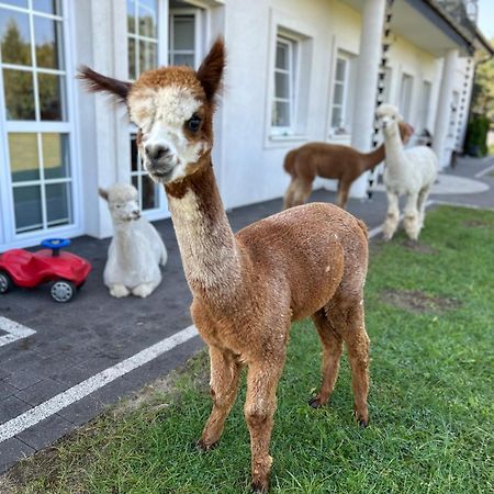 Apartamenty Gora Wejherowo Exteriér fotografie